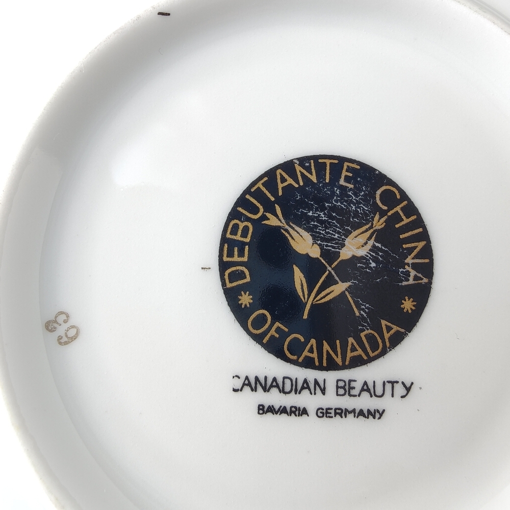 Vintage | Debutante China of Canada | Teacup and Saucer with Gold Trim ๐น๐ฉท - Picture 9 of 15